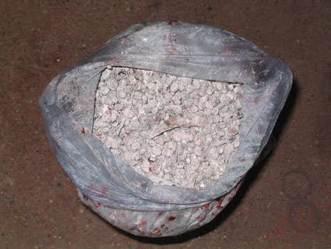 Bag of fresh cochineal