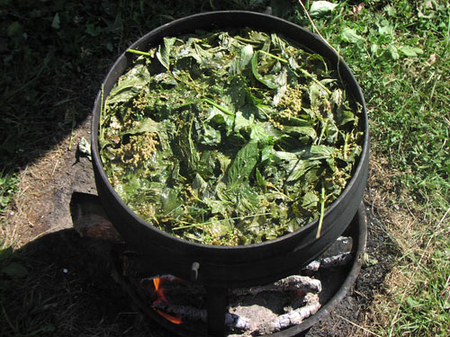 Stewing meadowsweet