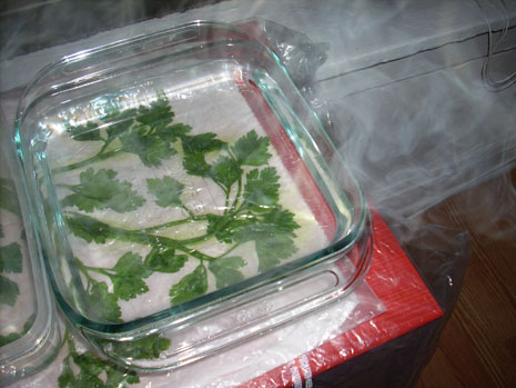 Boiling water-press on parsley