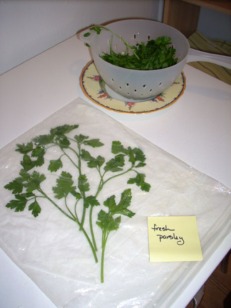 Parsley placed on fabric