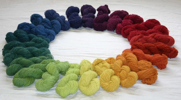 Naturally dyed color wheel of Navajo-churro wool