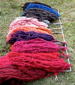 Sample skeins of the dye colors