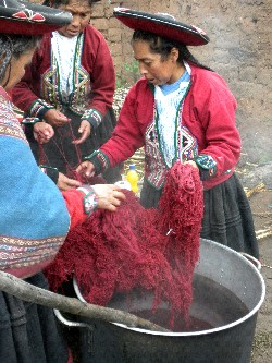 Checking the color of cochineal-dyed yarn