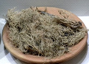 Qaqa Sunka (beard lichen)