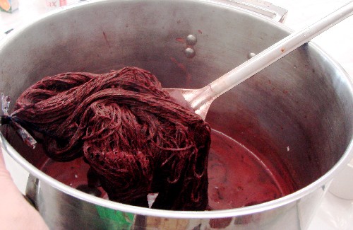 Alpaca simmering in a scarlet bath