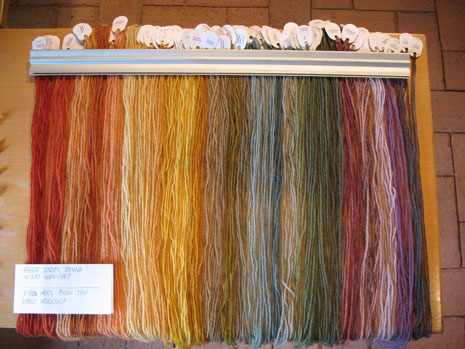 Yarns dyed during the week's workshop