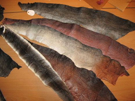 Tanned and mushroom-dyed fish skins