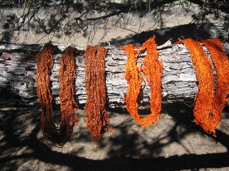 Anato-dyed silk skeins drying