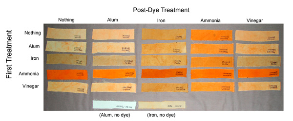 Results of Rufe's anato dye experiments