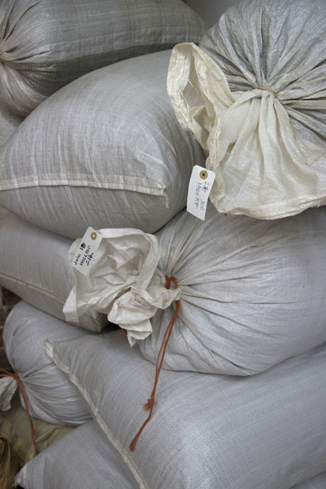 Bags of dried indigo harvested in 2010