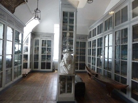 Exhibit room at the School of Naval Medicine