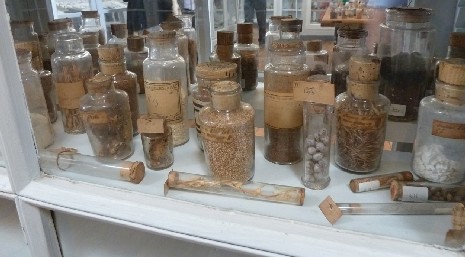 Vials of seeds