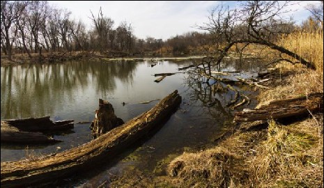 The Chicago Portage