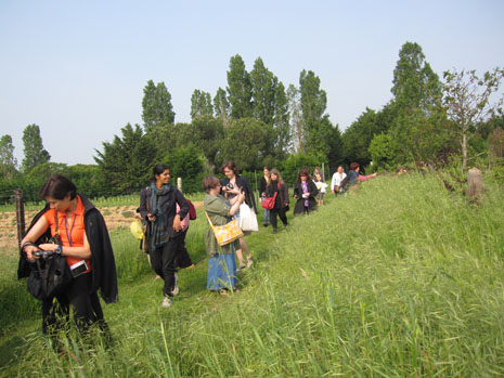 Seaside field walk near Fouras