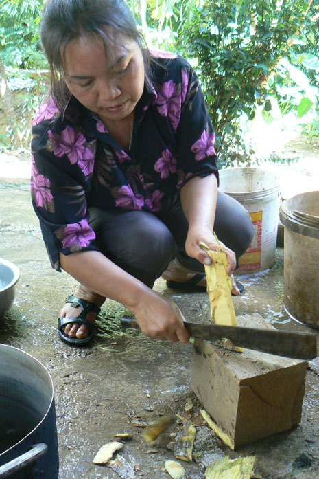 Mrs. Phuit chopping nangben wood