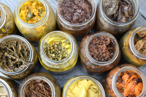 Jars from Collected Color I, Oklahoma to Maine, packed with plant materials and fabric