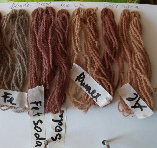 Woolen threads dying sampler