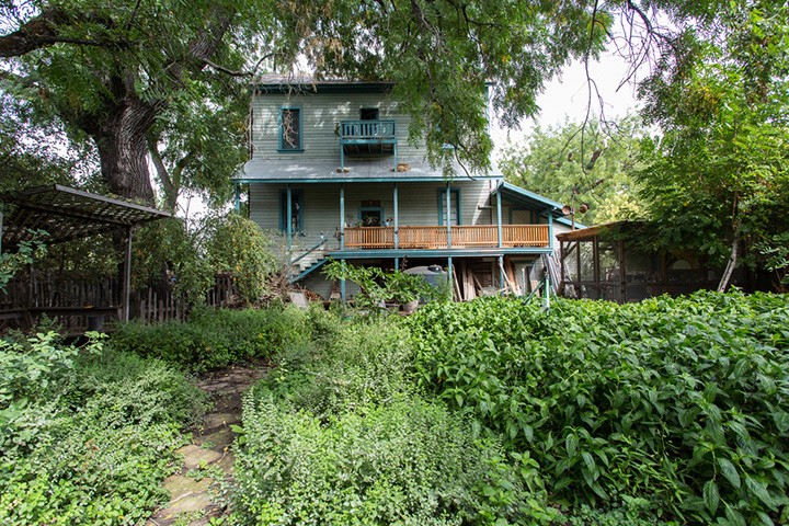 Rear view of John s studio in Covelo. Indigo patch in foreground.