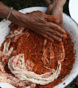 The material is then rubbed with the soaked and chopped roots