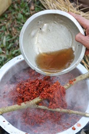 Yarn, roots and water placed in the pot