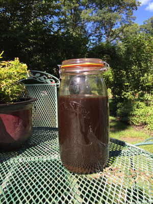 Extracted acorn dye stock