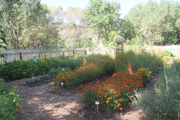 Janice Ford Memorial Dye Garden