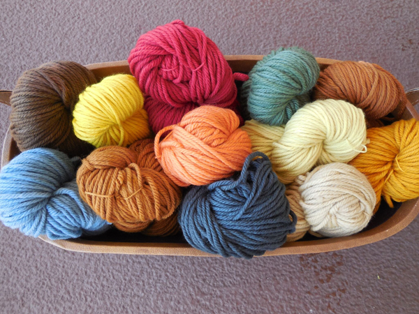 Yarns dyed from dye garden plants