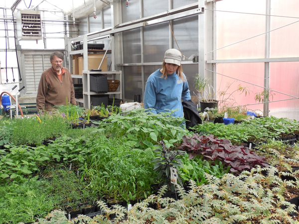 A group visits the dye plants growing in the greenhouse