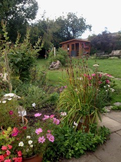 View of dye garden to Summer House Gallery