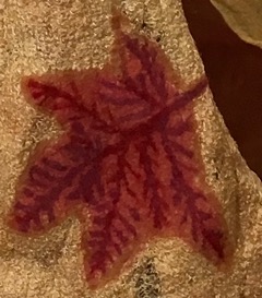 Leaf from the Leaf Shawl (detail)