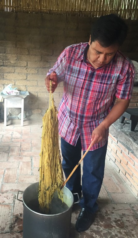 Pedro Montao dyeing with pericn in Teotitln del Valle