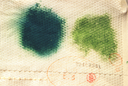 The color on the left is the stain left by P. tictorium and the color on the right is how the P. maculosa stain appears on unbleached Japanese silk