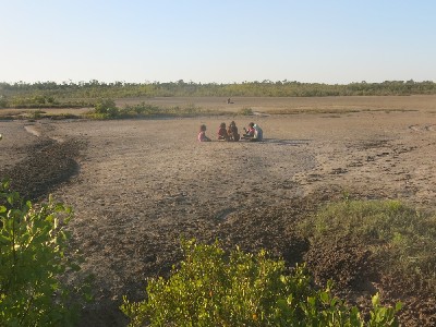 Figure 10. The Mangrove Mud-Flats