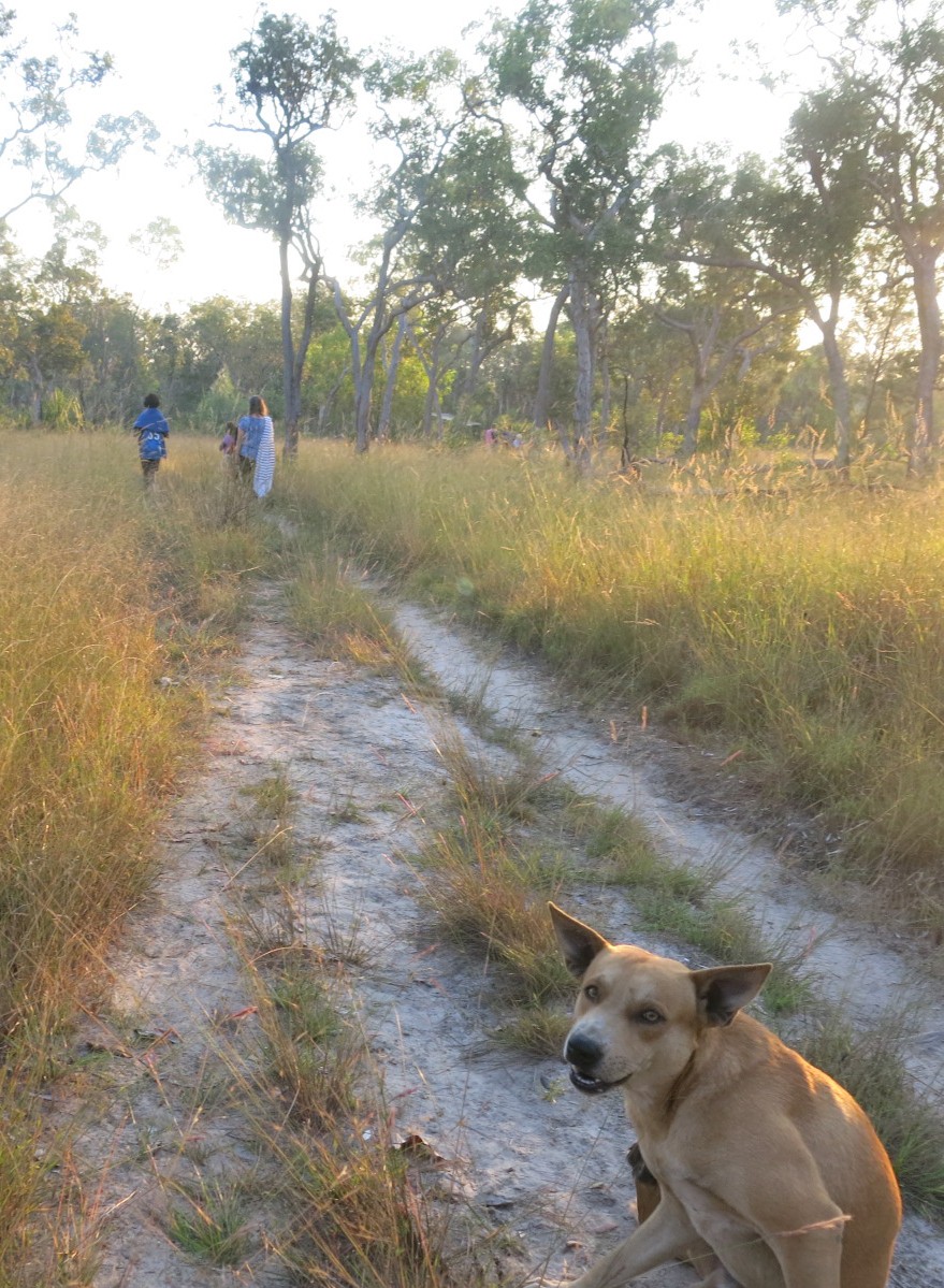 Figure 13. One of the Township Dogs