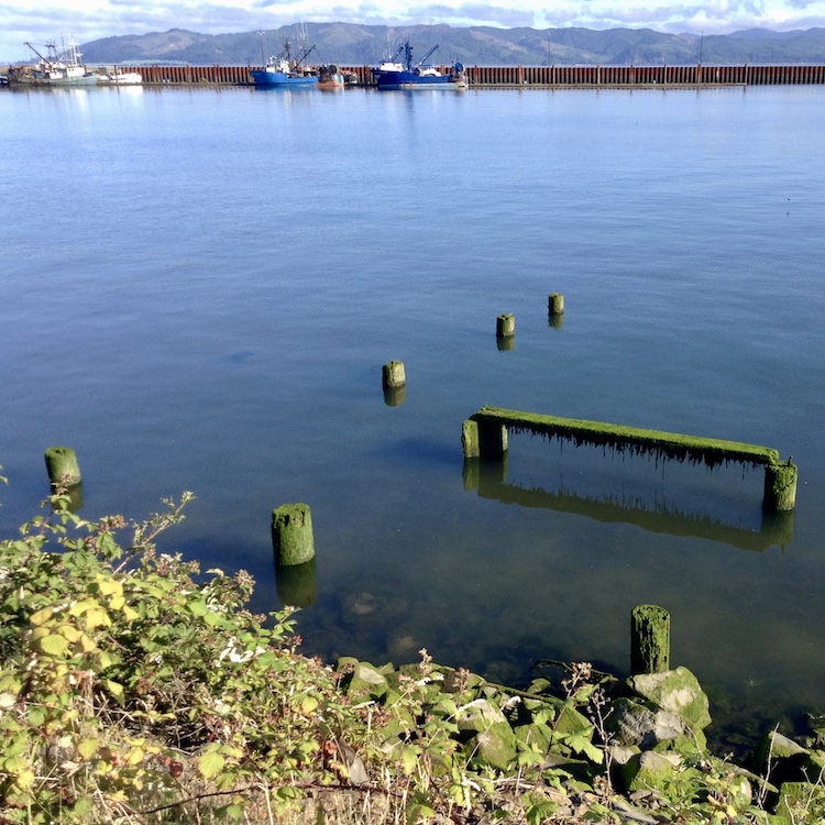 The very blue Columbia River in Astoria on a sunny morning