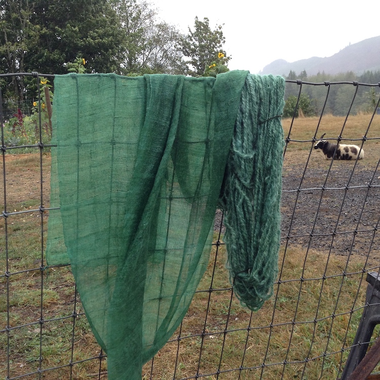 Dyeing with the fresh indigo leaves creates greens and turquoise on silk and wool